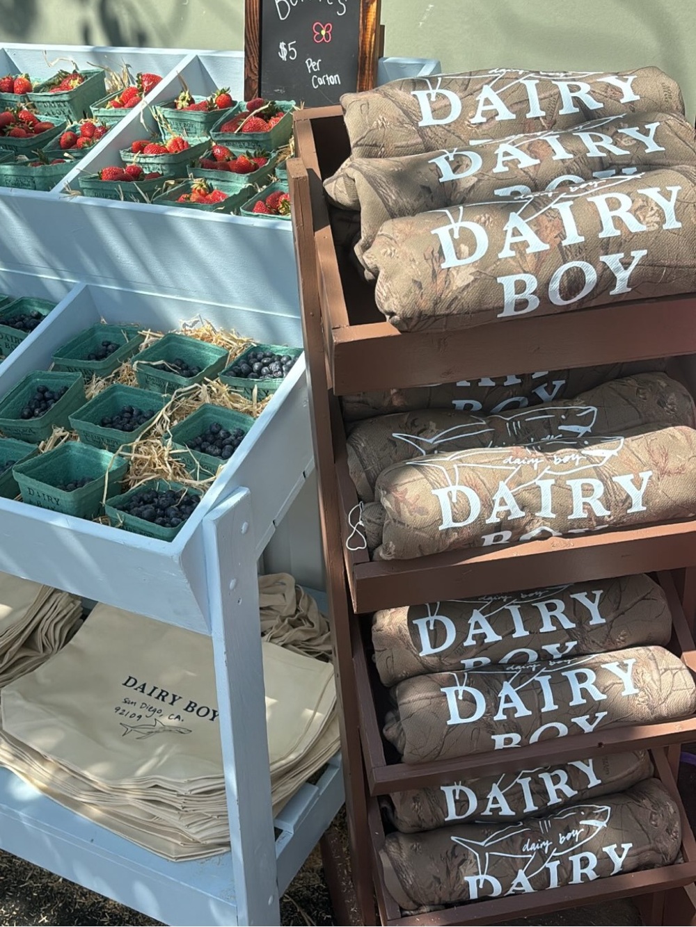san diego dairy boy pop up exclusive set